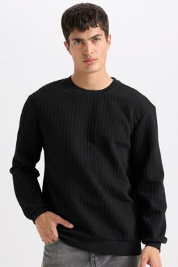 Regular Fit Bisiklet Yaka Jakarl? Basic Duz Sweatshirt