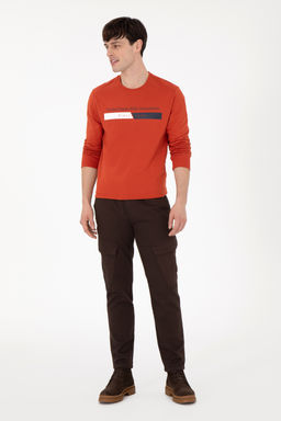 Мужской свитшот с плиткой Неожиданная скидка в корзине - U.s. polo assn фото 18