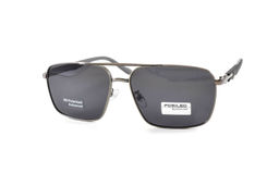 POMILED POLARIZED 08255 C3-08 60-15-140