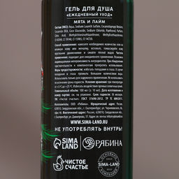 Новогодний подарочный набор косметики «Лучшему из лучших»: гель для душа и шампунь для волос, 2х100 мл, Чистое счастье