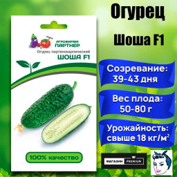Огурец партенокарпический Шоша - Партнер фото 2