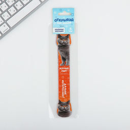 Закладка картон набор 5 шт , объемная Открывай мир знаний