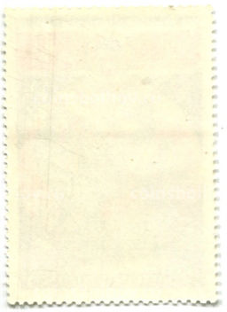 Марка Международные полеты в космос ССР -Китай (космическая станция) 1980 год