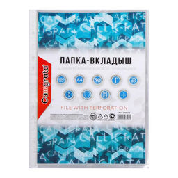 Файл-вкладыш А4, 25 мкм, Calligrata, глянцевый, вертикальный, 100 штук  фото 2