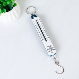 Весы безмен 10 кг арт. YD-10 (742435)