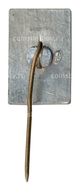 Значок Шушенское