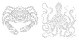 Чудеса природы. Золотая коллекция любимых иллюстраций (тв.обл.). Маротта М. - Колибри фото 6