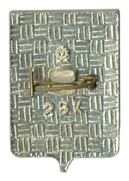 Значок Копейск