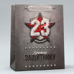 Цена за 2 шт. Пакет подарочный ламинированный, упаковка, «С 23 февраля», ML 23×27×11.5 см