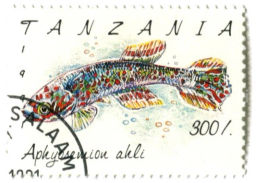 Марка Афиосемион южный 1991 год Танзания