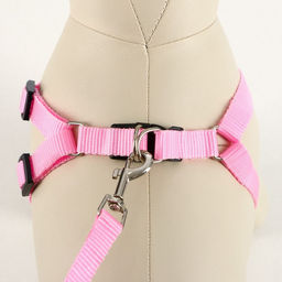 Комплект Базис, поводок 120 х 1,5 см, ОГ 32-46 см, розовый - Пижон фото 2