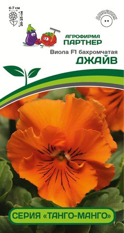 Виола бахромчатая Танго-Манго Джайв