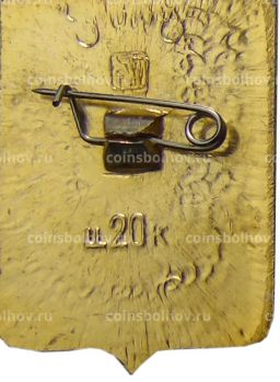 Значок Кологрив