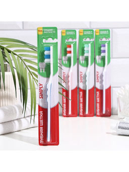 Цена за 2 шт. Зубная щётка Rendal Simply, средней жёсткости, 1 шт. МИКС
