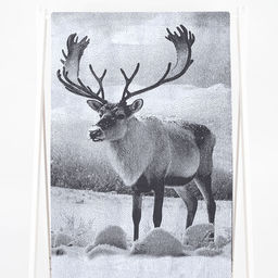 Полотенце махровое 6с102.413ж1 Фото-олень(графит5) 81х160см