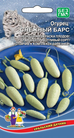 Огурец СНЕЖНЫЙ БАРС Необычайная окраска плодов! Крайне неприхотливый сорт! Устойчив к комплексу болезней! - Уральский дачник фото 5
