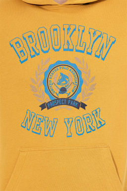 Мужская толстовка с капюшоном цвета шафрана - U.s. polo assn фото 12