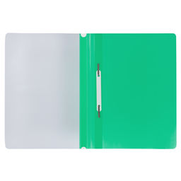 Expert Complete Classic Папка-скоросшиватель A4 120/160 мкм песок 20 шт. зеленый 312165