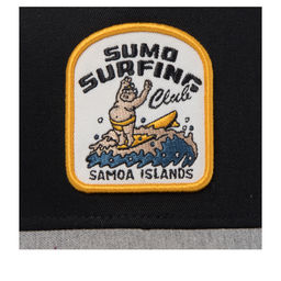 Бейсболка COASTAL арт. HFT Sumo Samoa (черный / светло-серый)  фото 3