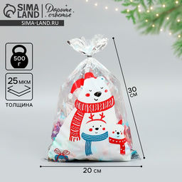 Цена за 20 шт. Пакет подарочный новогодний пластиковый «Тепла и уюта», 20×30 см