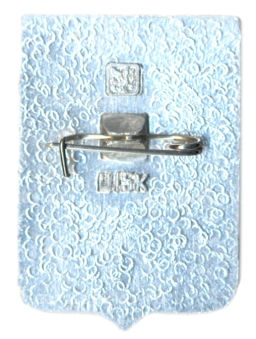 Значок Гвоздевка