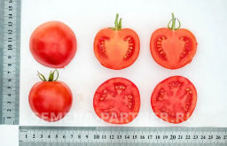 Томат Лимеренс - Партнер фото 5