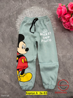 Штаны из хлопка с начесом.