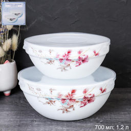 Салатник с крышкой 2 предмета / SW2A (7288) /уп 18/ Колибри - Галеонтрейд фото 4