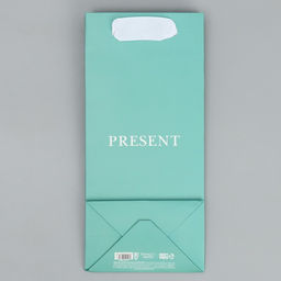 Цена за 2 шт. Пакет подарочный ламинированный, упаковка, «Подарок», 10 х 22 х 6 см