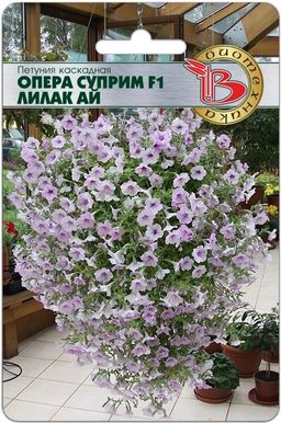 Петуния каскадная Опера Суприм F1 Парпл Вейн - Биотехника фото 8
