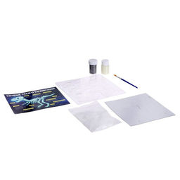 Набор для опытов Эпоха динозавров: Скелет тираннозавра, в пакете