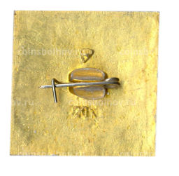 Значок Владимир