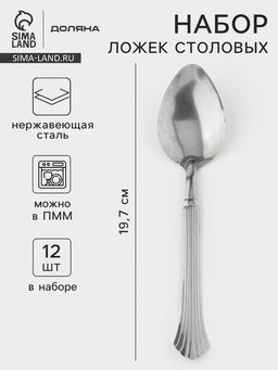 Набор столовых ложек Доляна Снежная королева, длина 19.7 см, набор 12 шт., нержавеющая сталь, серебристый