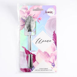 Цена за 2 шт. Ложка чайная именная Ирина, h=14 см