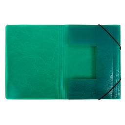 Expert Complete Premier Папка на резинке A4 600 мкм 35 мм волокно 5 шт. зеленый new EC21043003