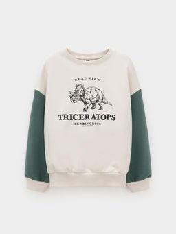 КР 302851/светло-бежевый 0783 к606 джемпер (свитшот) для мал