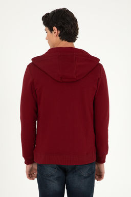 Мужской бордово-красный свитшот - U.s. polo assn фото 5