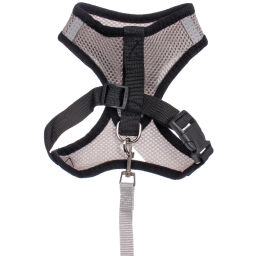 Цена за 2 шт. Шлейка с поводком 118см "Sweet puppy" размер M, цвет серый