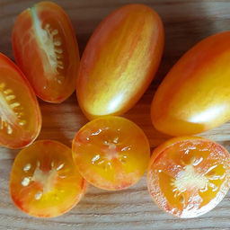 7008T Томат Блаш 10шт