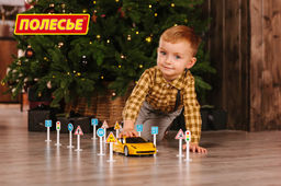 Набор дорожных знаков №2 (20 элементов) (в пакете) - Полесье фото 7