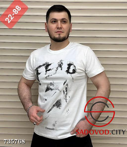 Мужская футболка с принтом