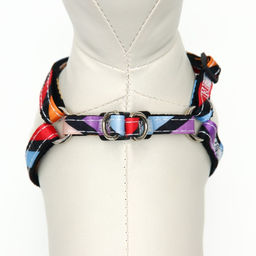 Комплект амуниции двухслойный, размер S, поводок 120 х 1 см, ОШ 24-38 см, ОГ 29-41 см, разноцветный - Пижон фото 5