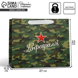 Цена за 2 шт. Пакет подарочный ламинированный, упаковка, «С 23 февраля», ML 27×23×11.5 см