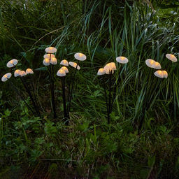 USL-S-832/PM030 FAIRY MUSHROOMS SET25 Садовый светильник на солнечной батарее Волшебные грибы, в комплекте из 25 штук. 25 светодиодов. Теплый белый свет. 1*АA Ni-Mh аккумулятор в/к. IP44. TM Uniel - Volpe фото 2