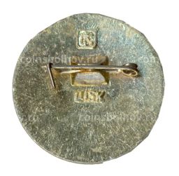 Значок Золотое кольцо Ковров