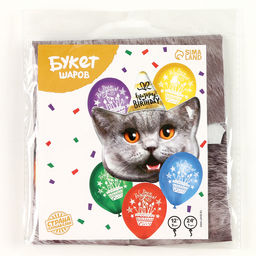 Набор воздушных шаров «С Днём Рождения», котик, латекс, фольга, 6 шт.