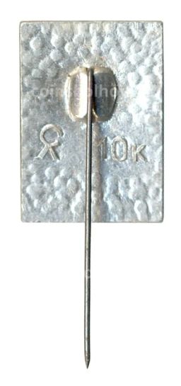 Значок Павловск  Пиль башня