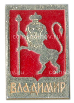 Значок Владимир