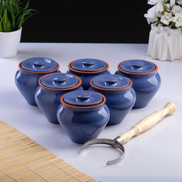 Горшочки для запекания Вятская керамика, набор 6 шт., ухват, 500 мл, МИКС