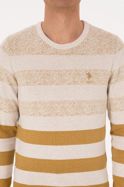 Erkek Regular Fit Bisiklet Yaka Hardal Kazak - U.s. polo assn фото 13